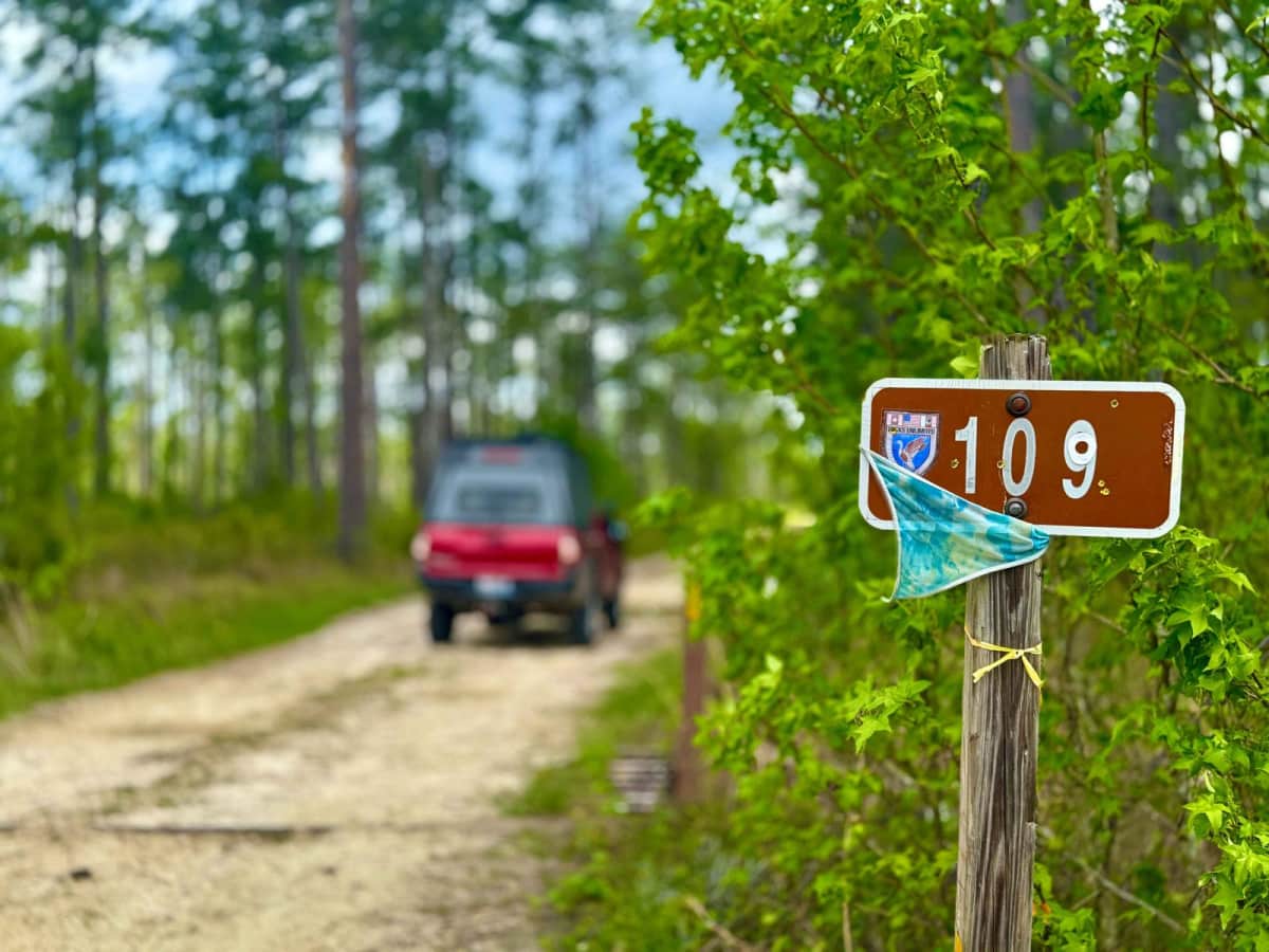 Lewis 109 trail photo