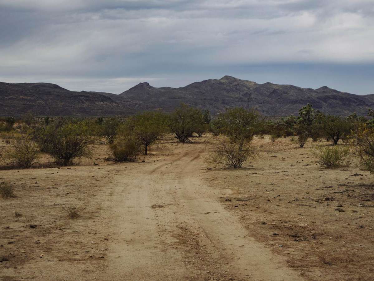 Arrastras Boundary trail photo