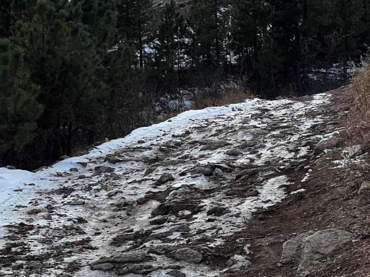 Piedmont To Nemo Trail trail photo