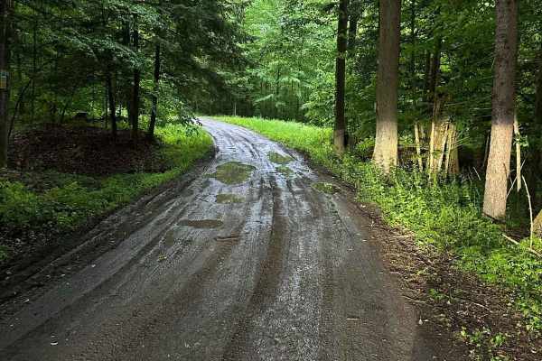 Back Road to Rattlesnake