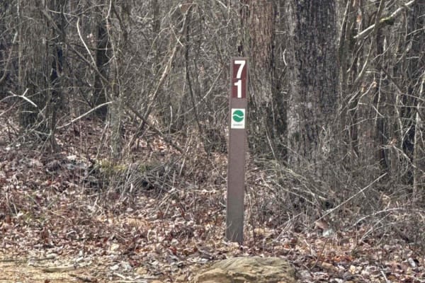 #71 Thompson Trail