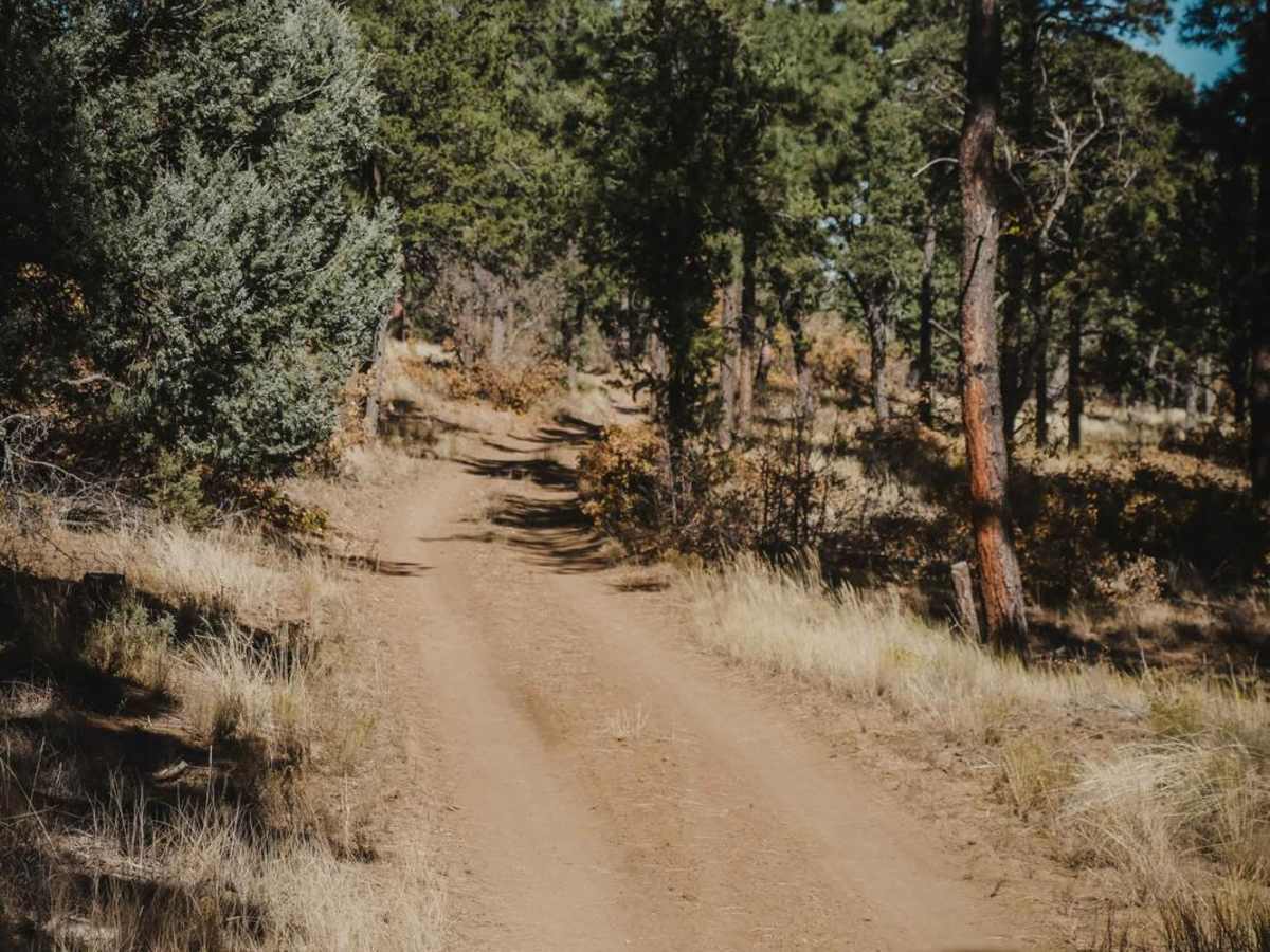 530 Road photo 2