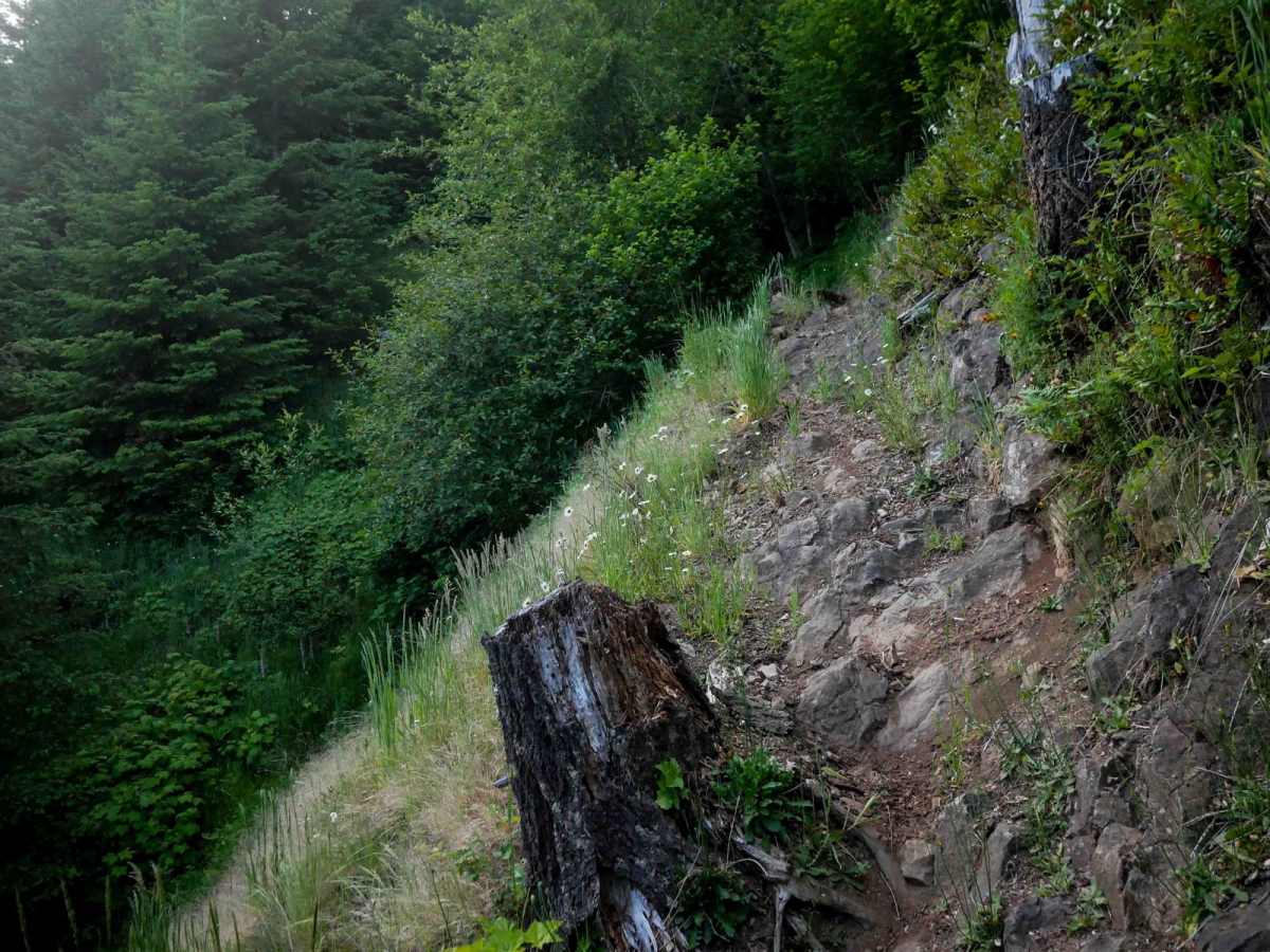 Maddogs Pumpkin Patch #38 (Extreme) trail photo