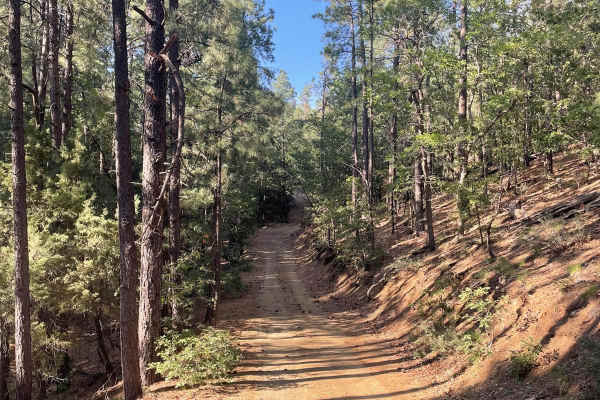 Exit Off Spruce Mountain Road