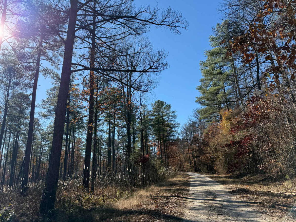 Grindstone Road - FS 109 photo 5