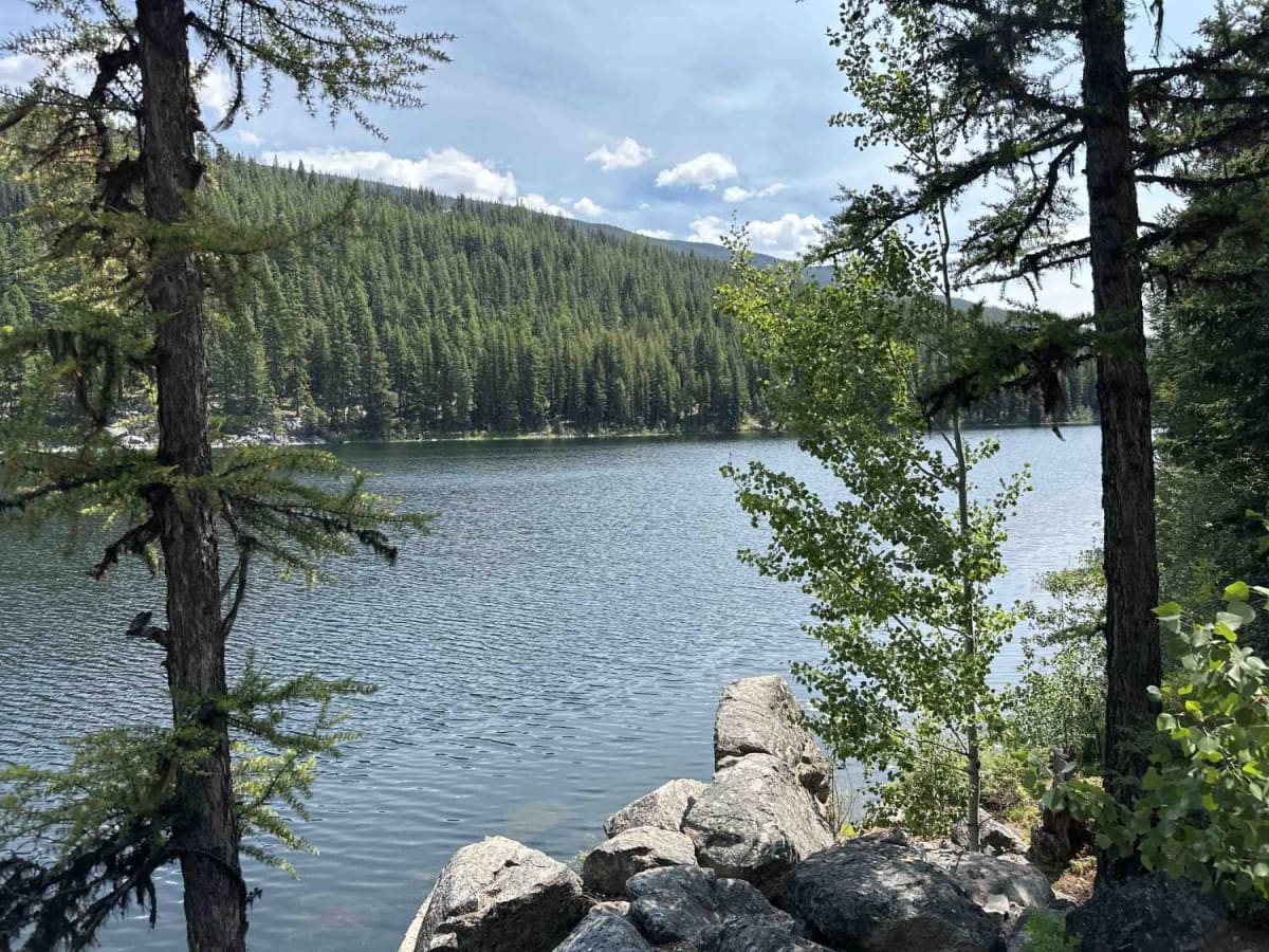 Thome Lake FSR trail photo