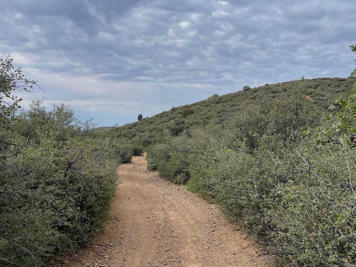 BLM Route 9685 & 9656 photo 5