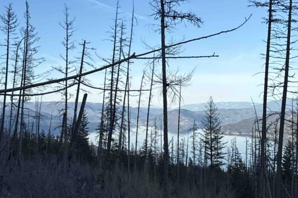 Terrace Mountain Connector