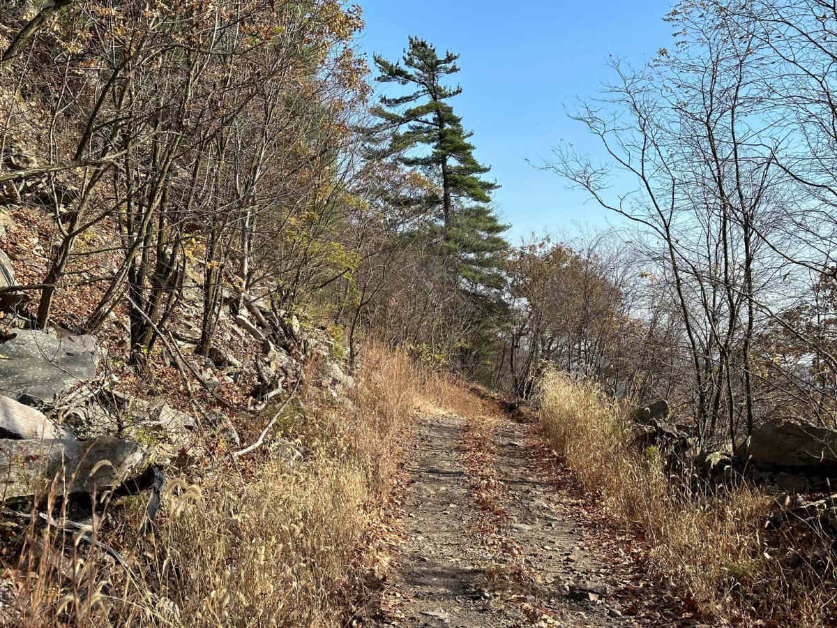 ATV Trail 17 photo 5
