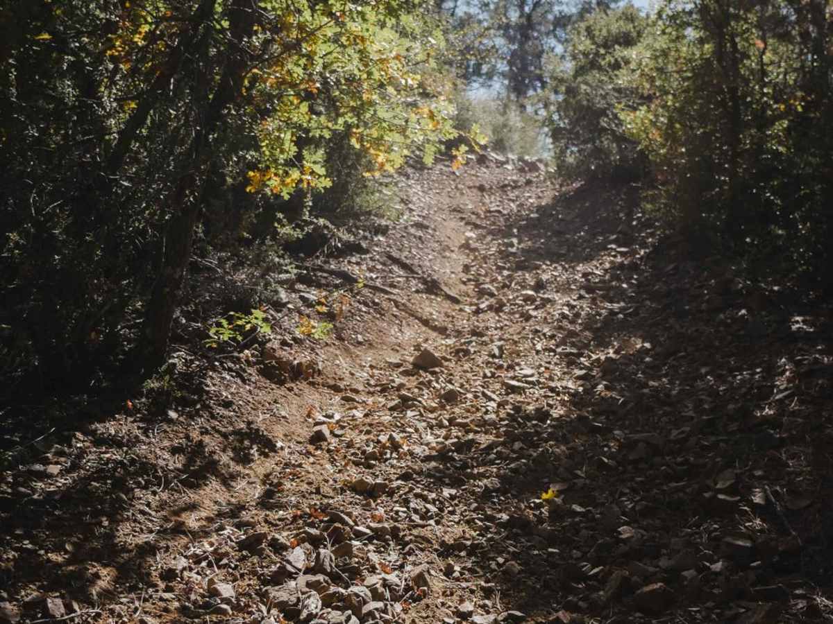 Prospectors photo 2