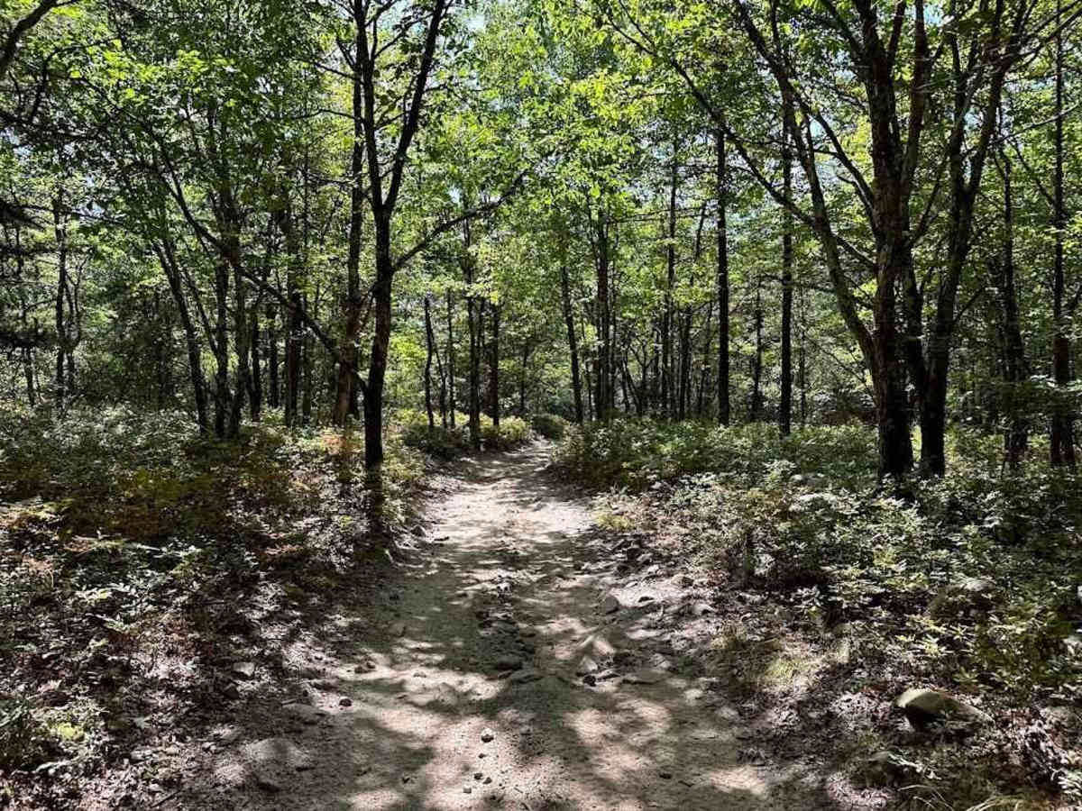 28 Blue trail photo