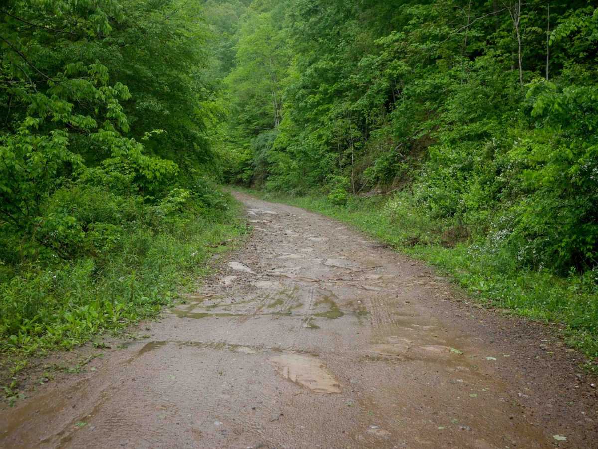 RH 11 trail photo