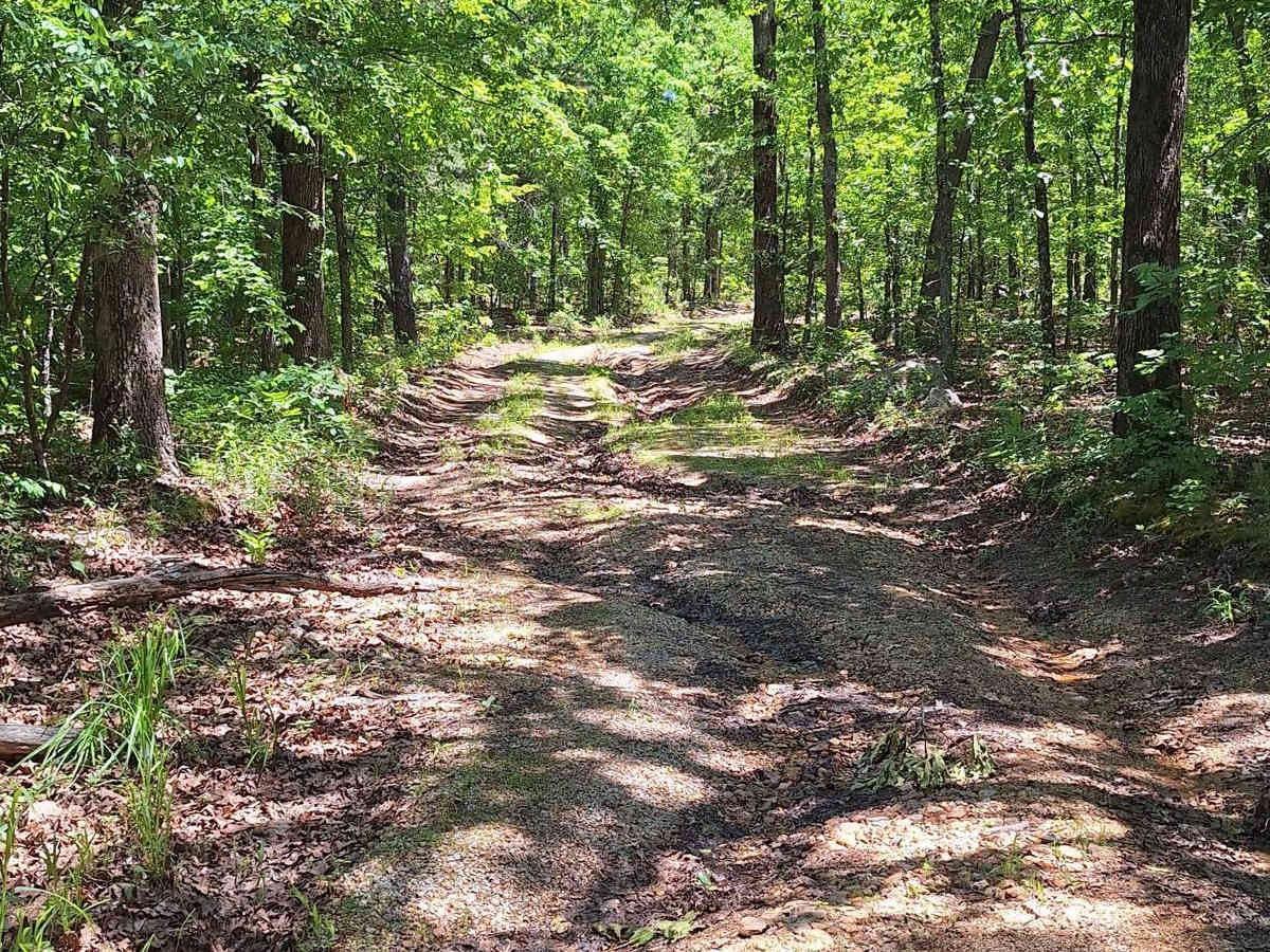 South Windy FSR 3304 photo 5