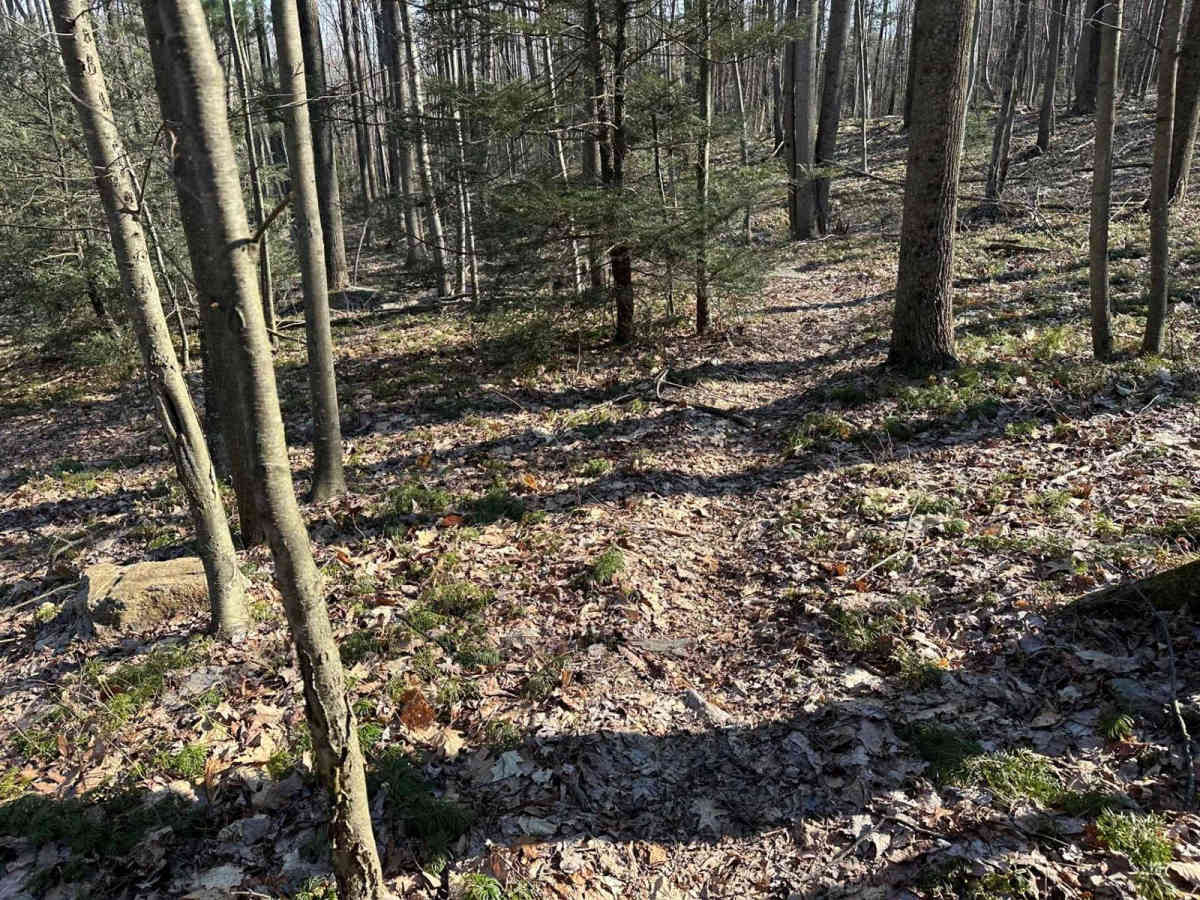 Tower City Single Track 3- A photo 4