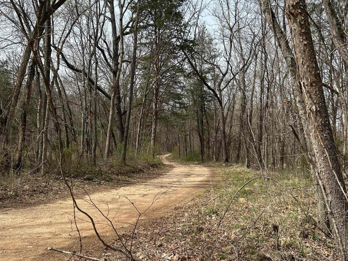Erbie Campground Road photo 6