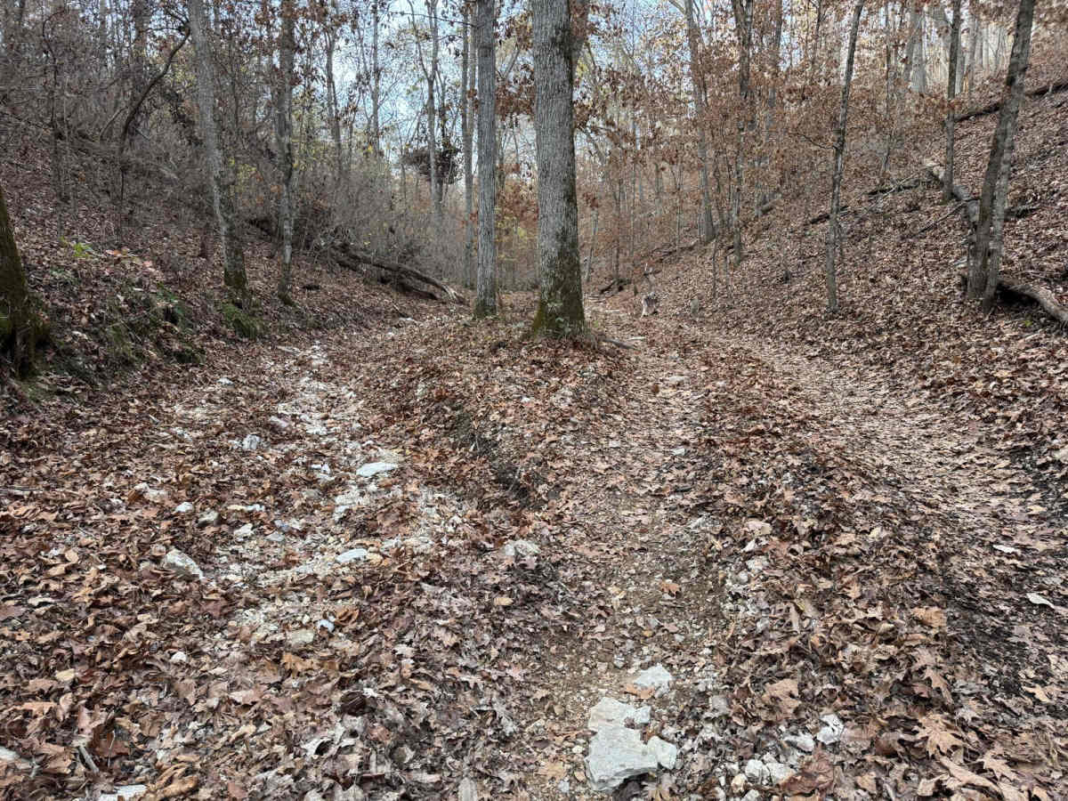 Hang Over Falls 180 photo 5