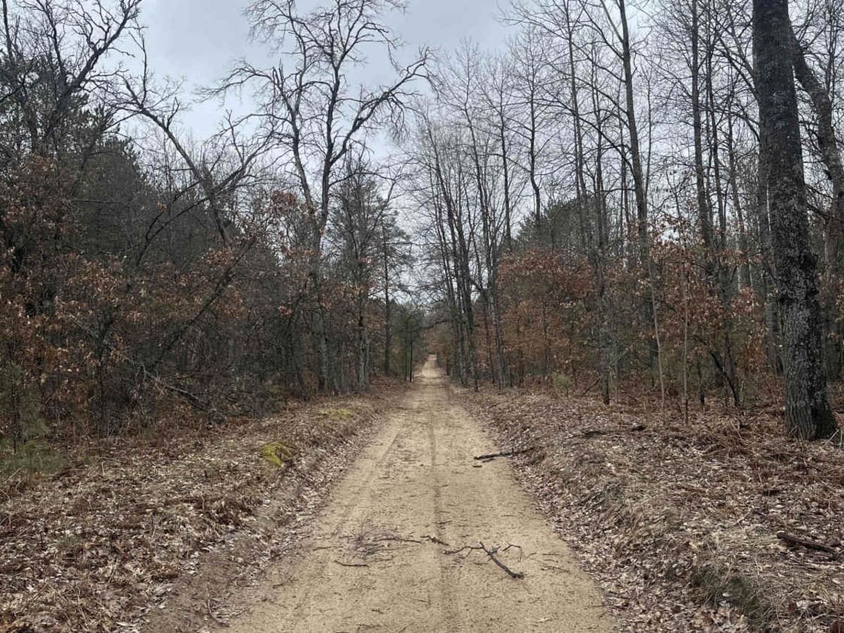 H7 Stout Road to FS 4604 photo 3