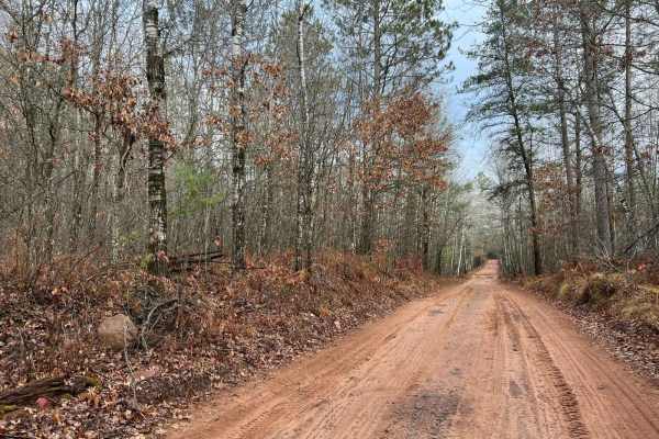 Florence County F15