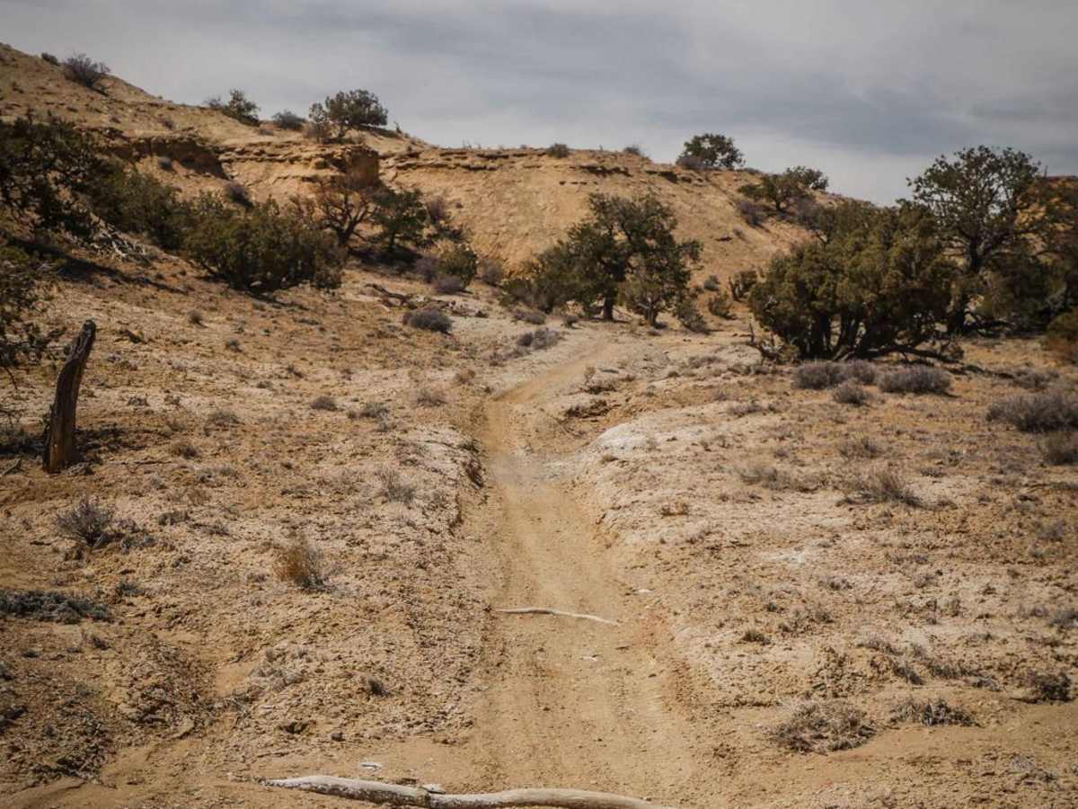 Green Trail trail photo