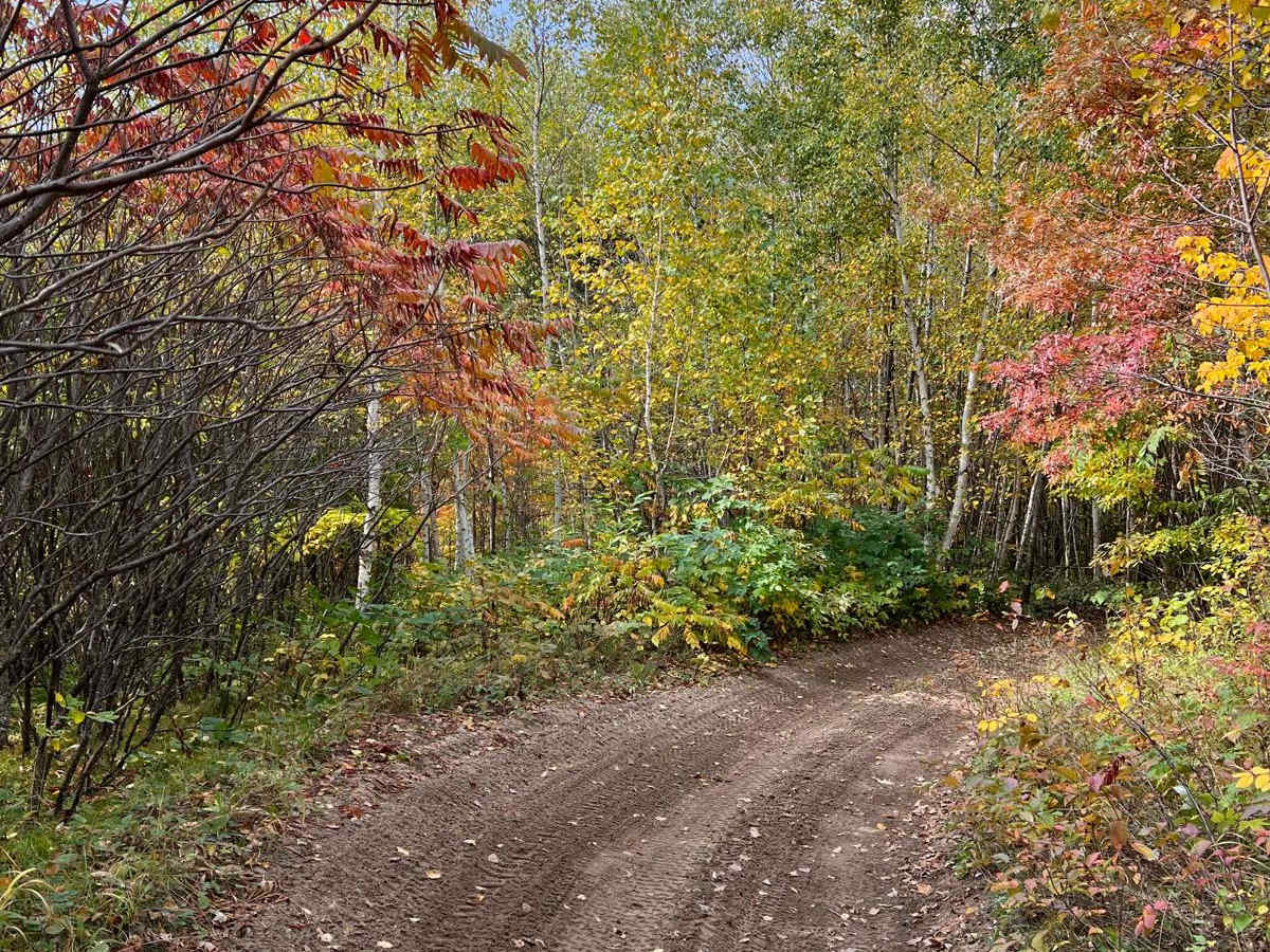 Paul Bunyan West River Rd Loop photo 4