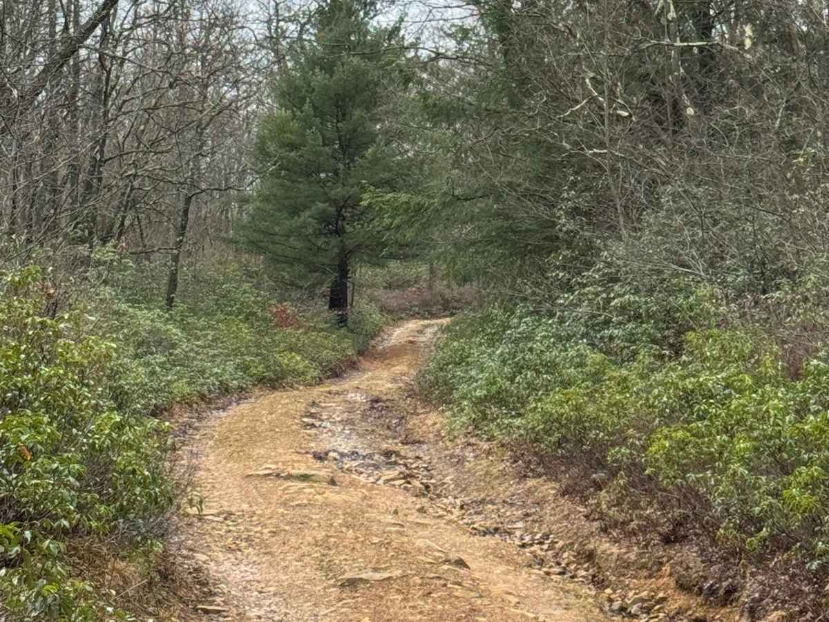 Eddy Lick Trail photo 3