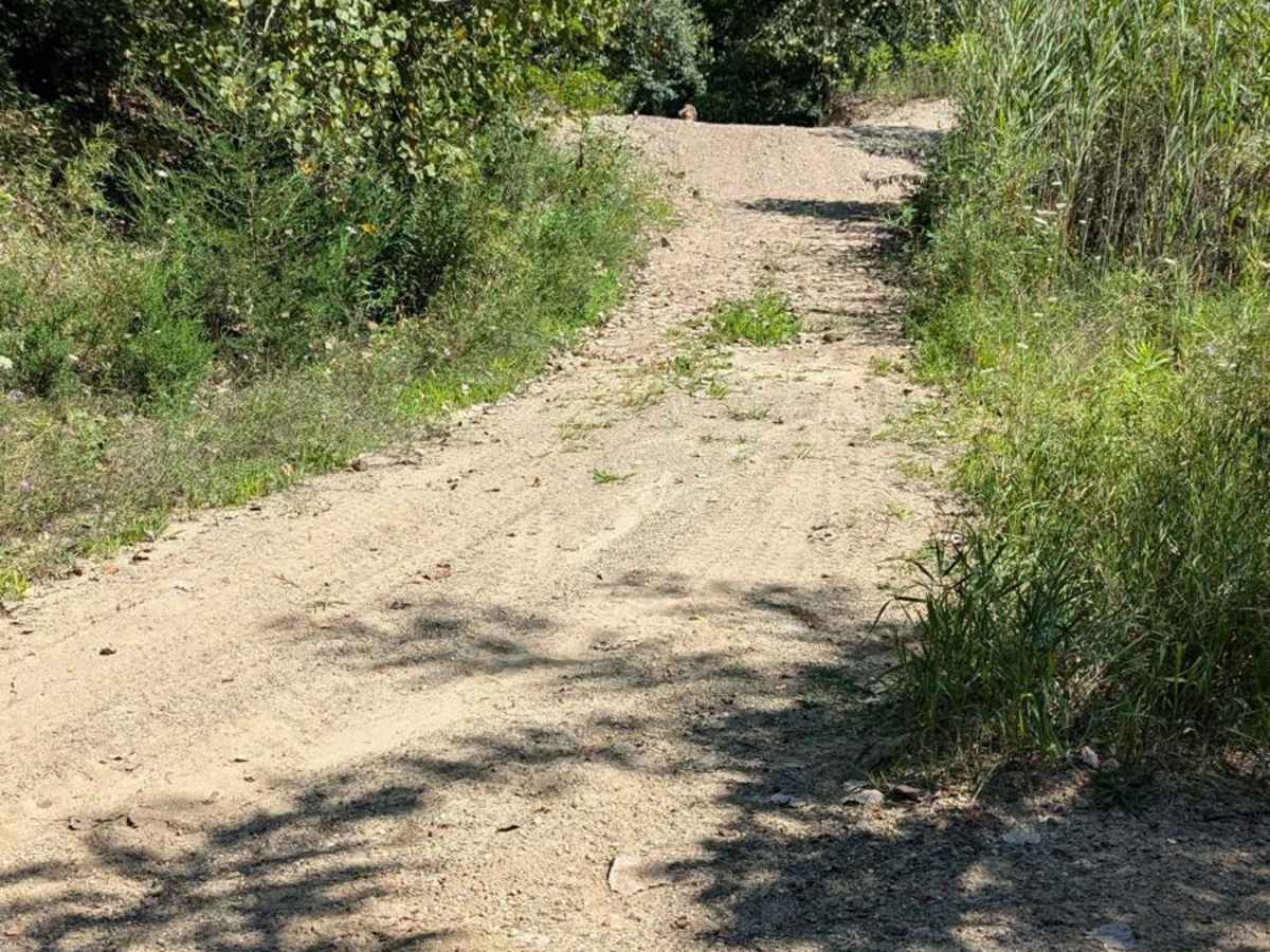 Chicken Hill photo 3