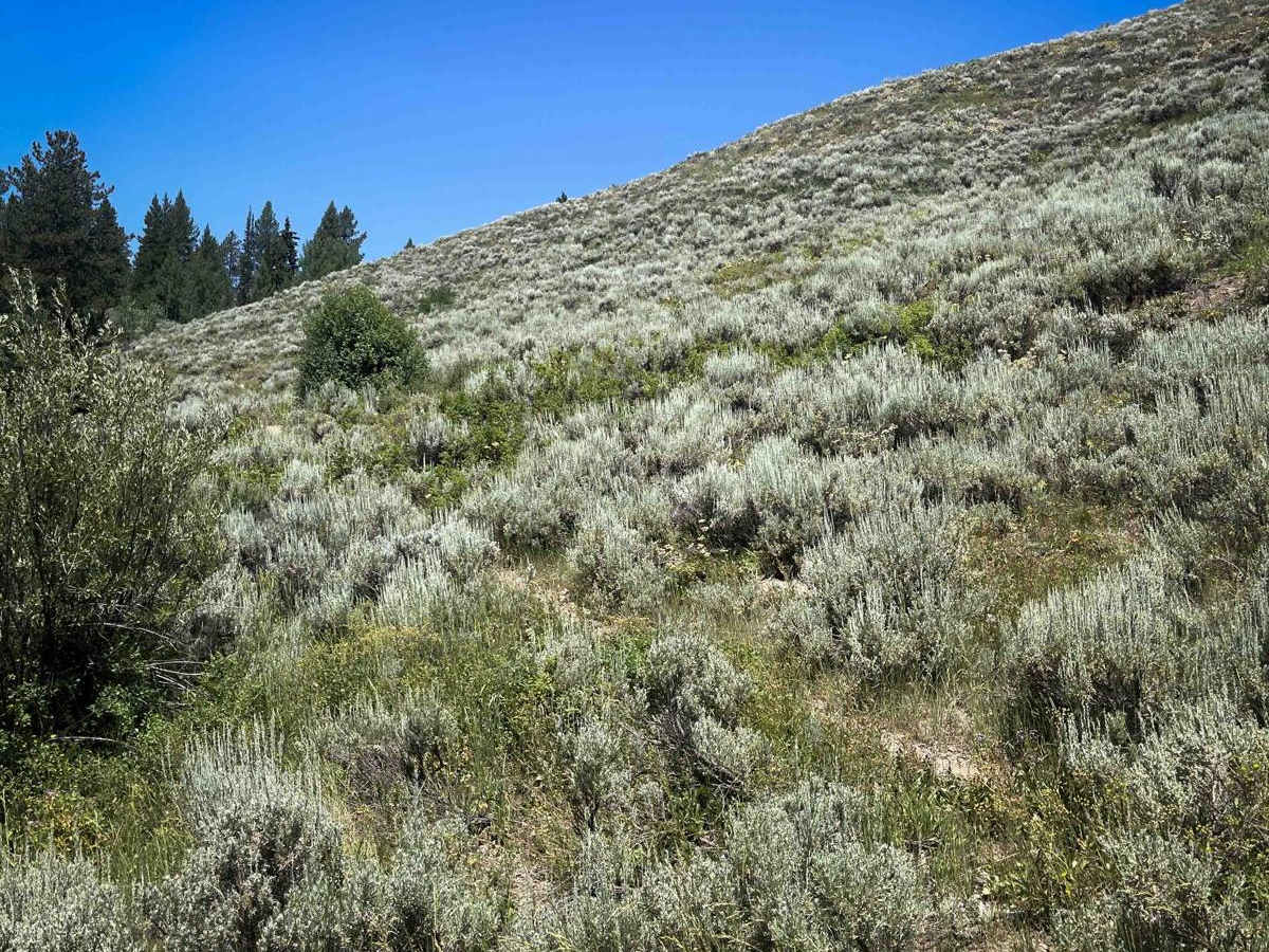 Rock Creek trail photo