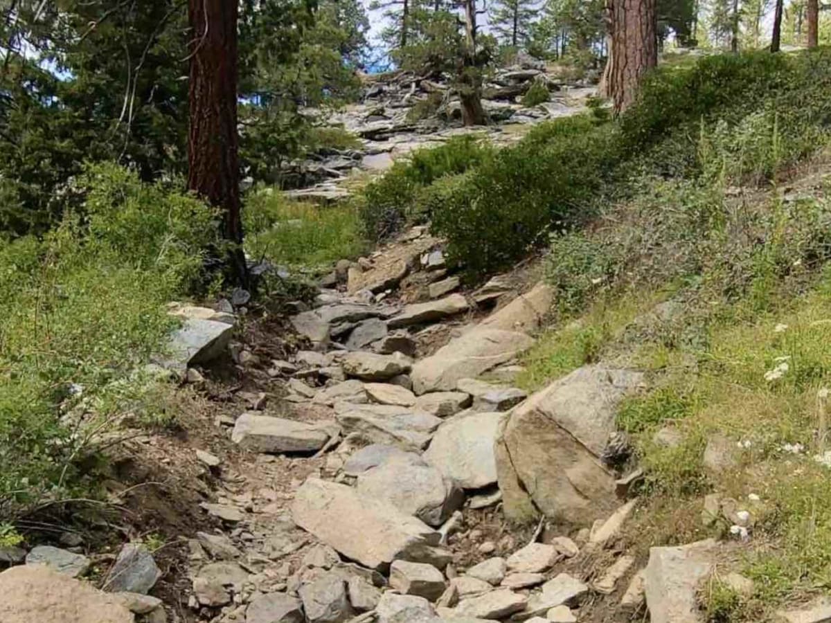 Beach Trail photo 4