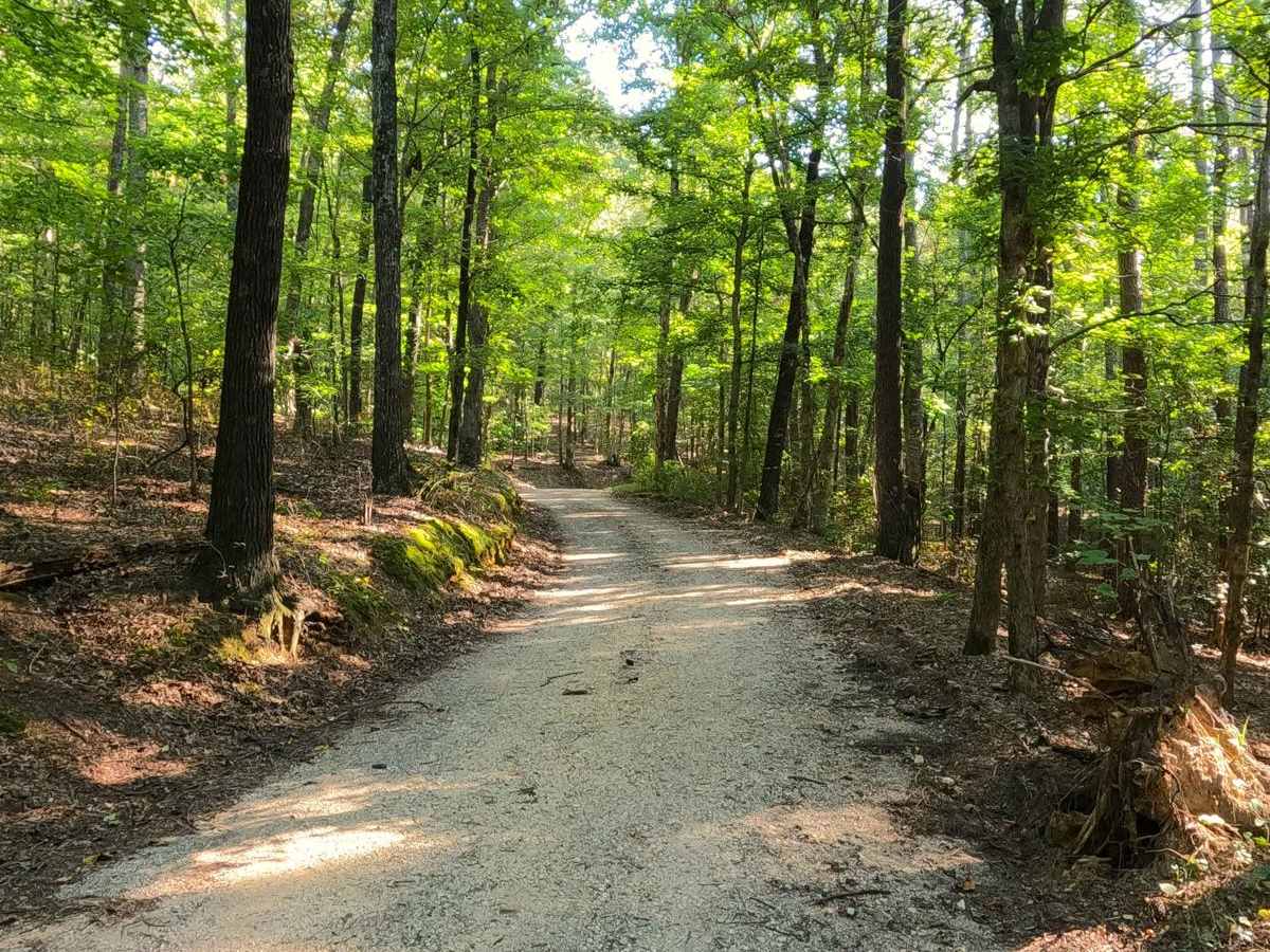 Newby Cemetery Road - FS 130 trail photo