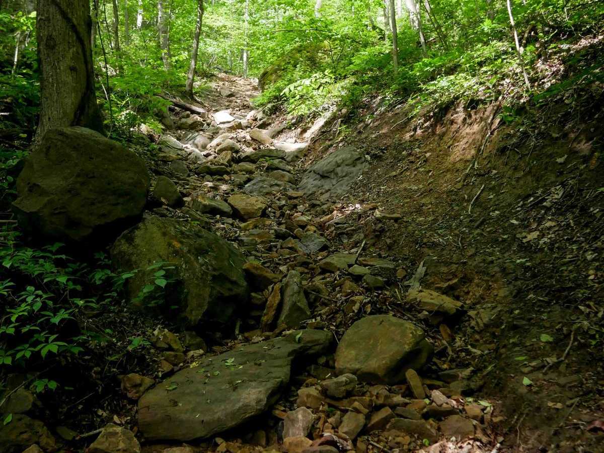 B53 trail photo