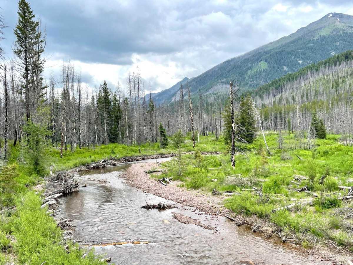 Upper Trail Creek trail photo