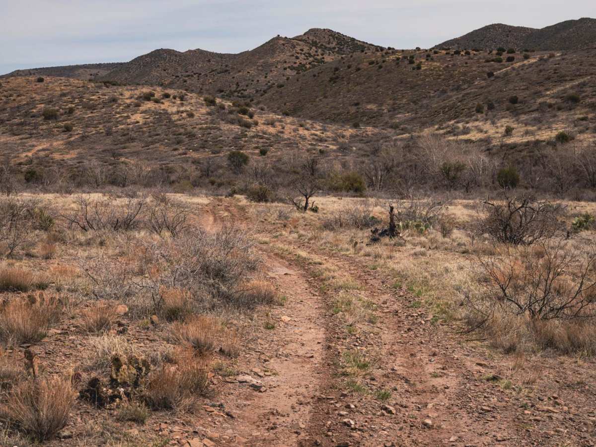 FS 557 trail photo