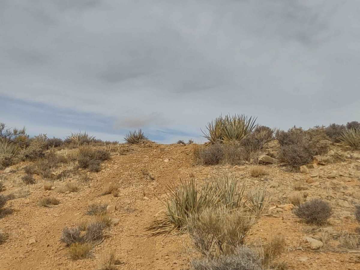 Yucca Way photo 6