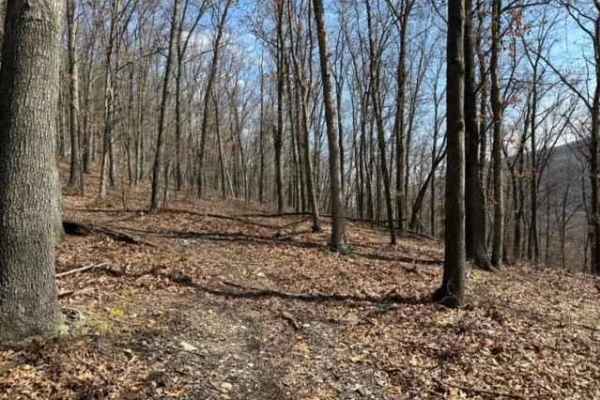 St. Keirns Single Track 3
