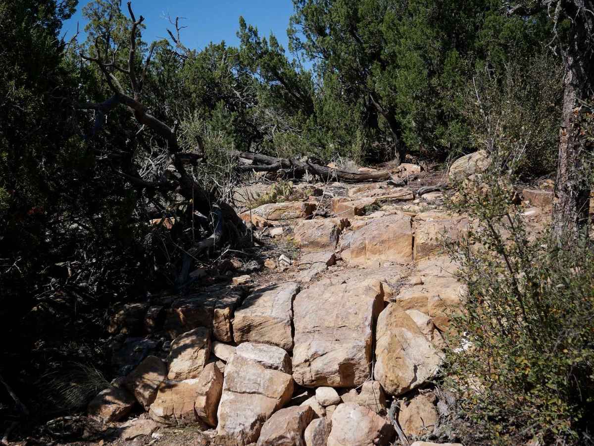 The Ridge - Penrose Commons Recreation Area trail photo