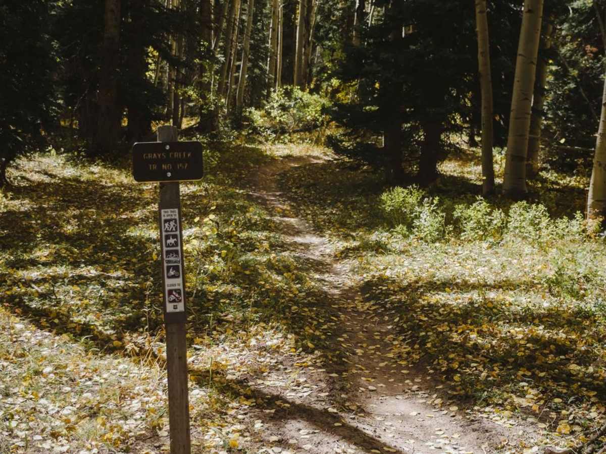 Grays Creek Trail photo 3