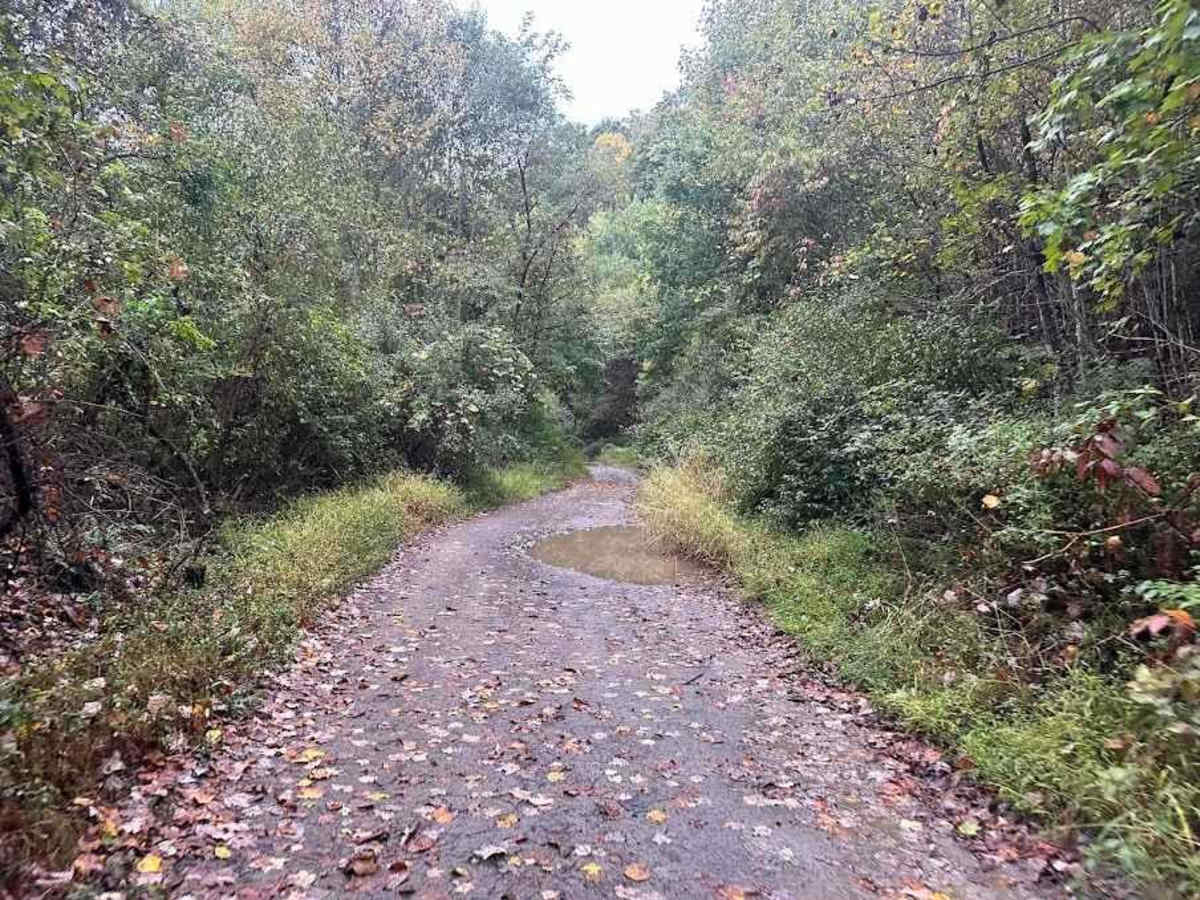 A/25 Green photo 6