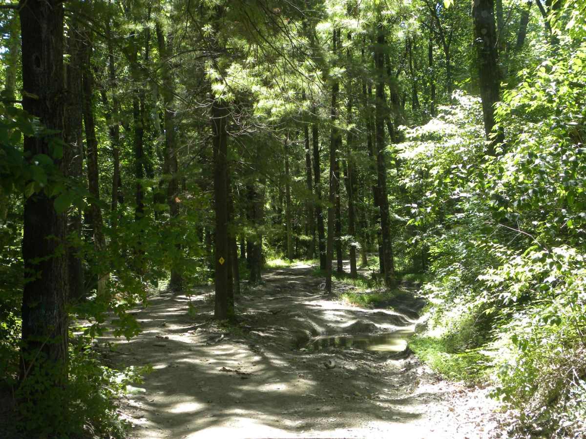 Trail 2E(intermediate) photo 2