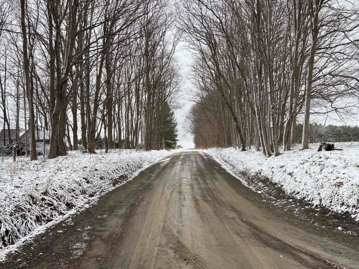 Reeves Road photo 2
