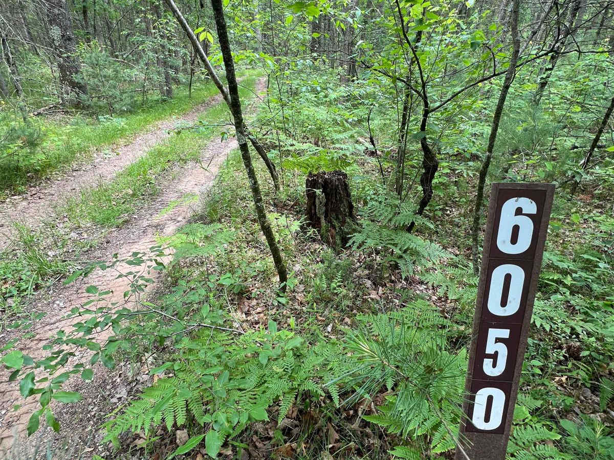 NFS 6050 trail photo
