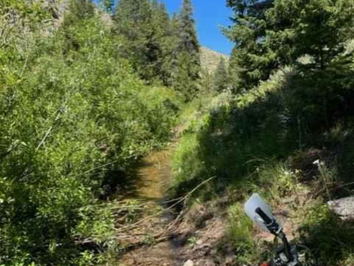 Lime Creek to Iron Mountain Lookout photo 6