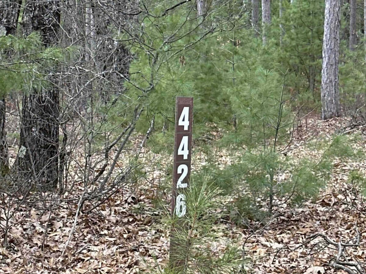 FS 4426 trail photo