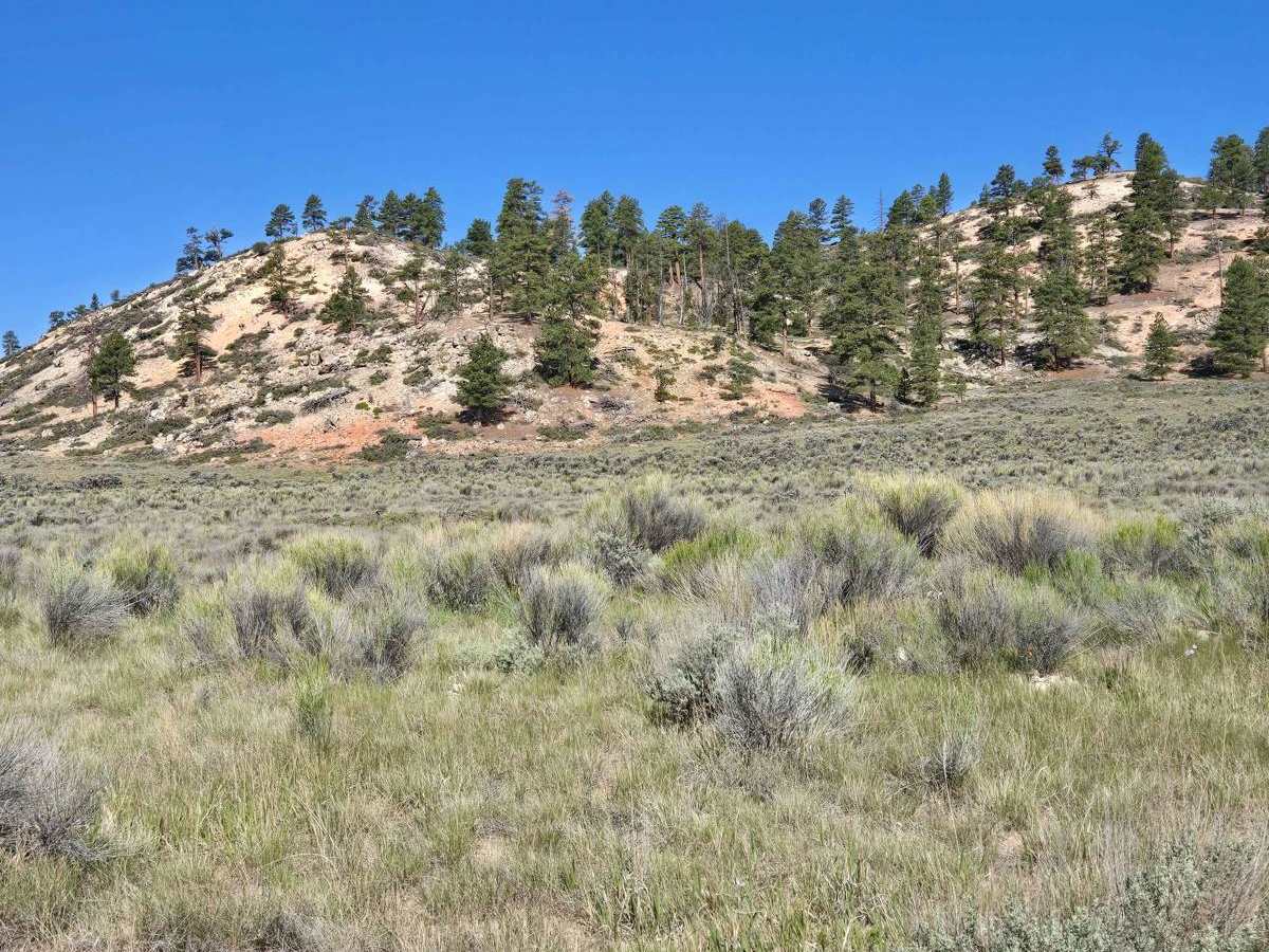 Gussie Draw Trail photo 4