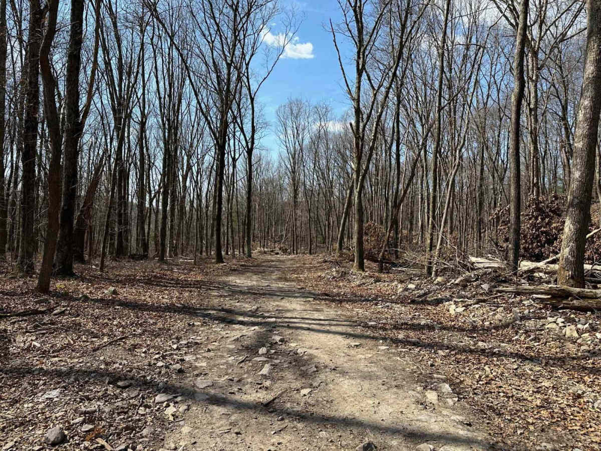 Ashland 3 trail photo