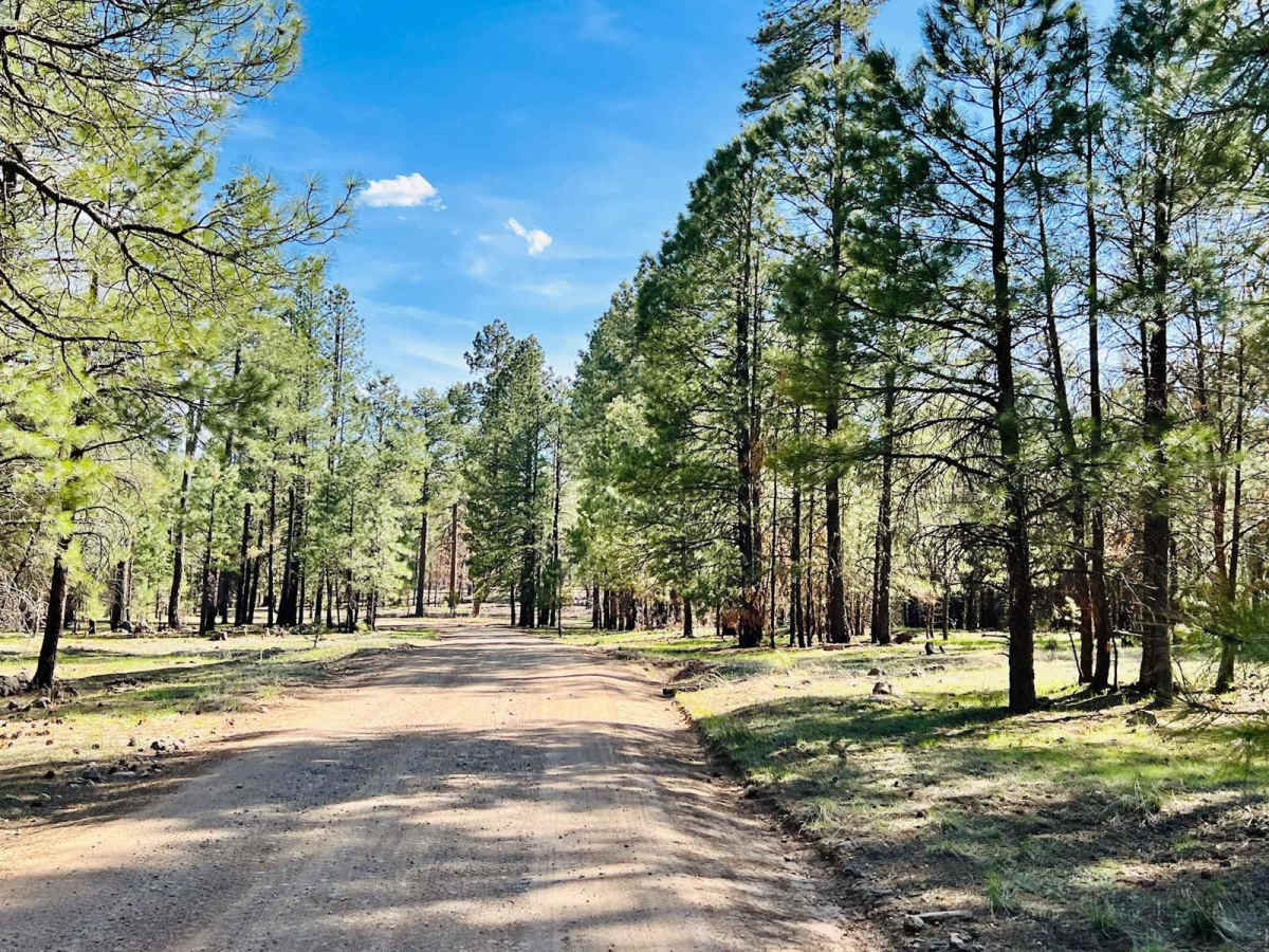 Hicks/Duncan Trail photo 5