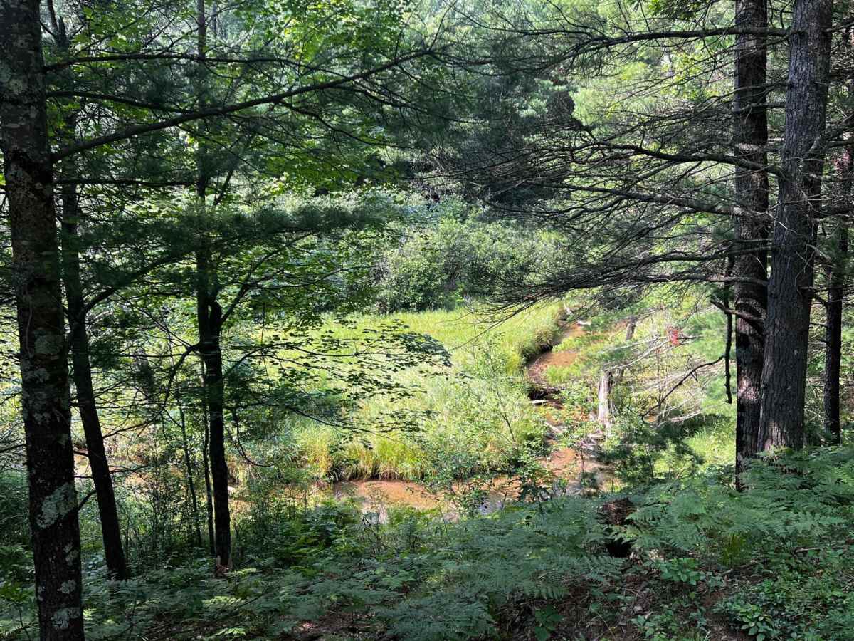 Soper Creek Trail trail photo