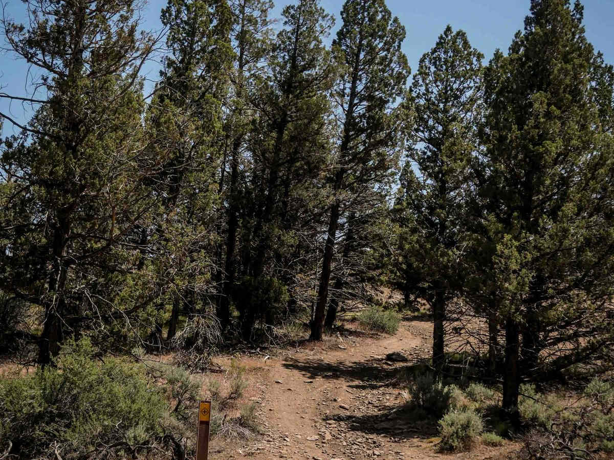 52 trail photo