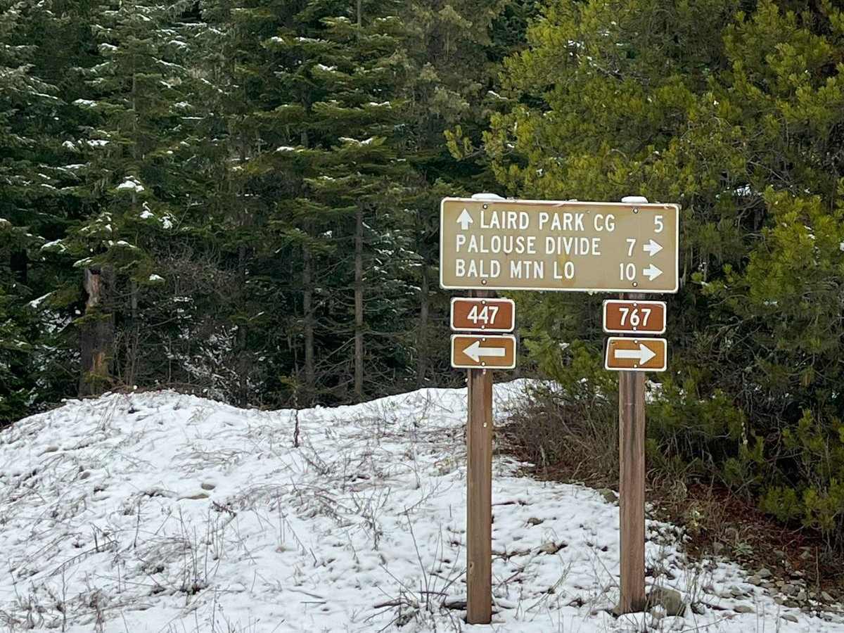 Forest Service 767 trail photo
