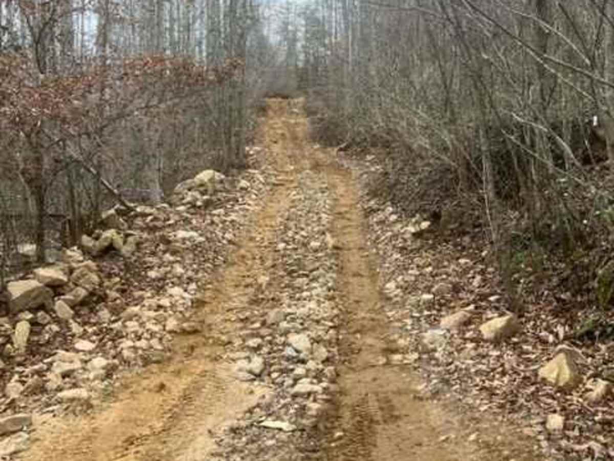 Coalmont OHV Trail 1 Blue photo 3