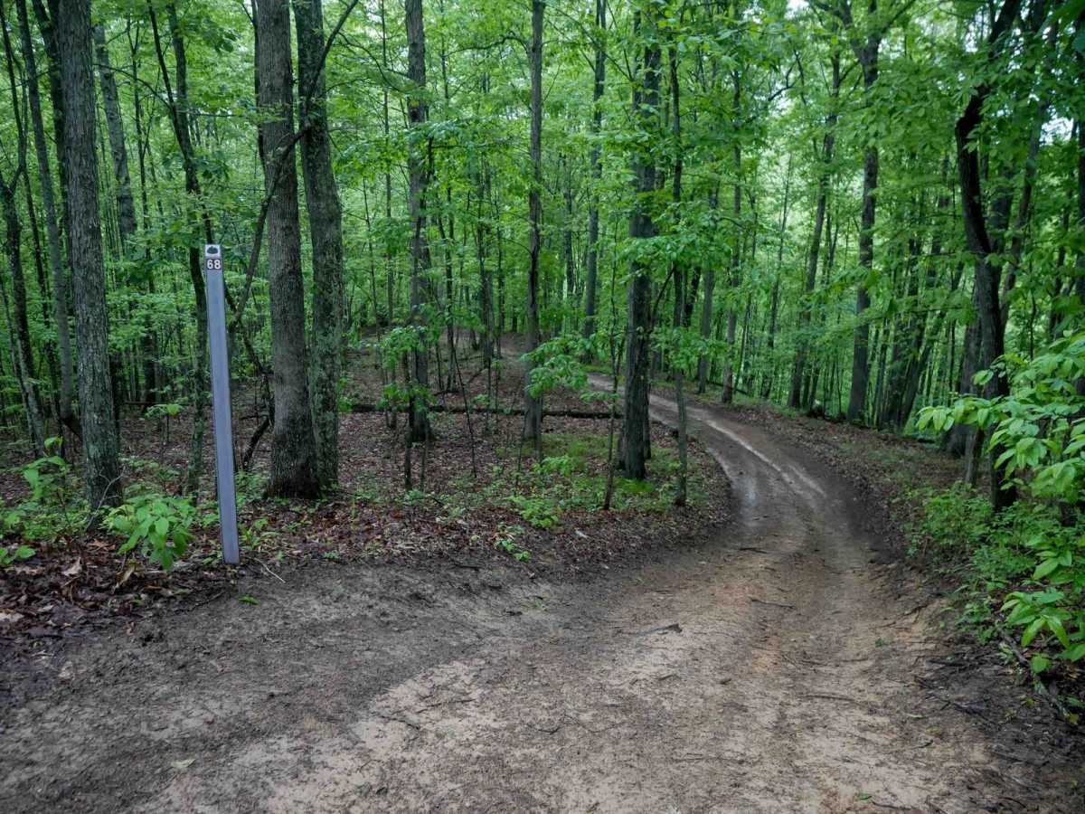 IB 68 photo 5